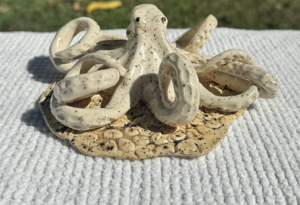 Kota the speckled Octopus - Image 3