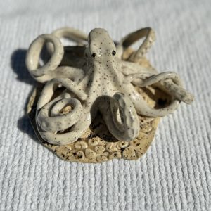 Kota the speckled Octopus