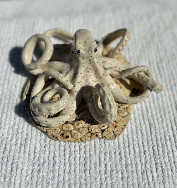 Kota the speckled Octopus