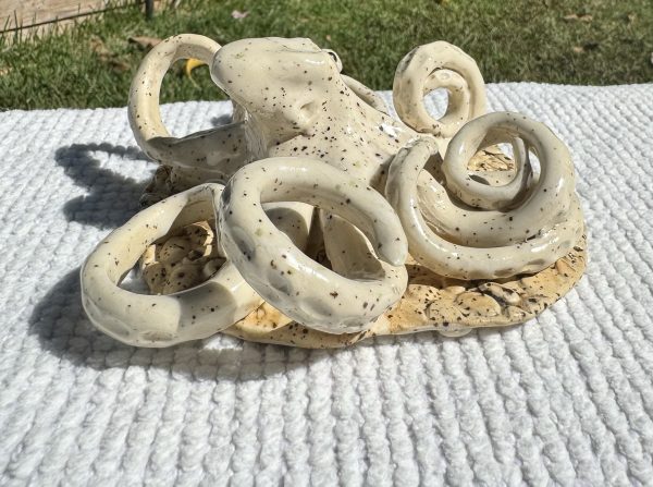 Kota the speckled Octopus - Image 2