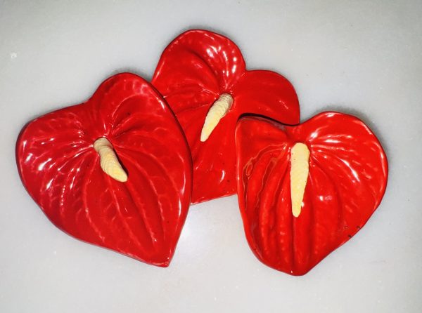 Small Anthurium Flowers - Image 3