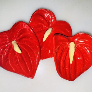 Large Anthurium flowers