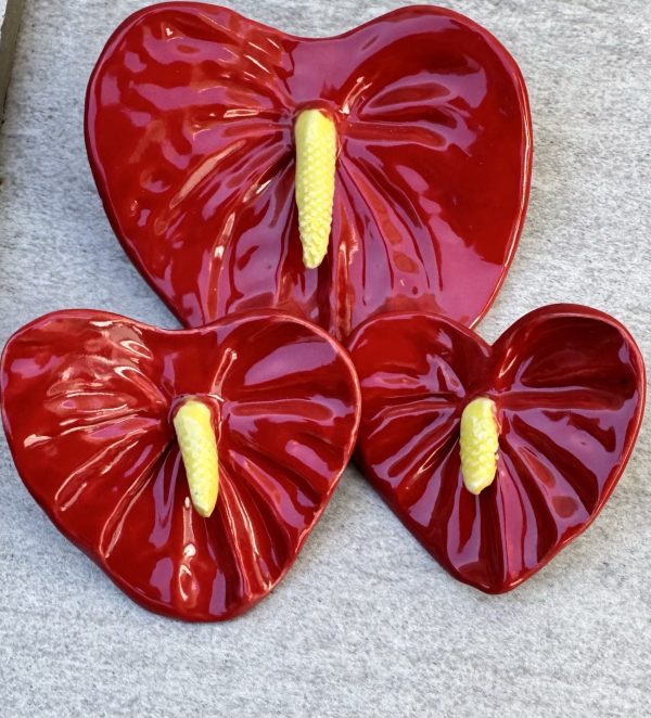 Small Anthurium Flowers - Image 2