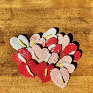 Mini Anthurium Flowers