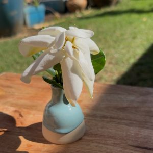 Mini Bud Vase