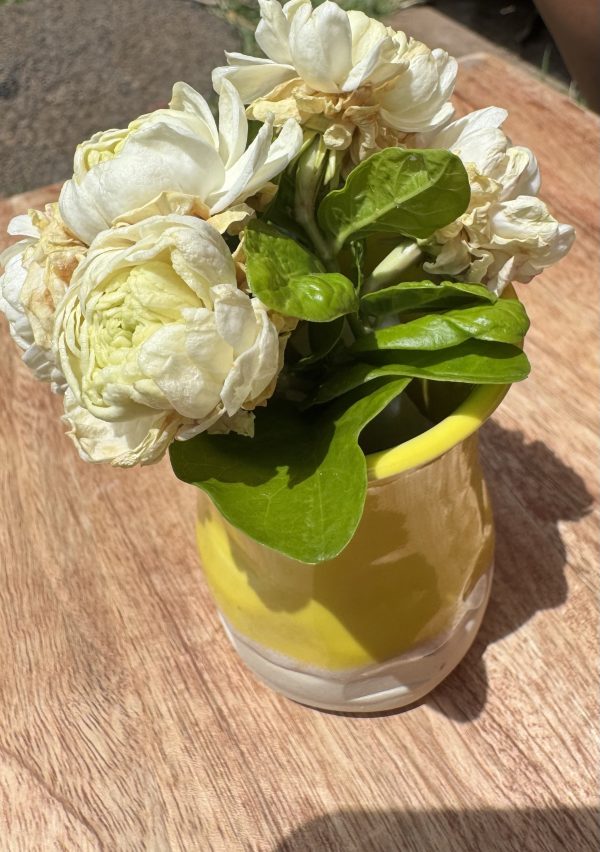 Yellow Bud Vase