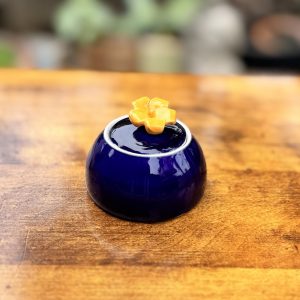 Little Pua Keeps Puakenikeni