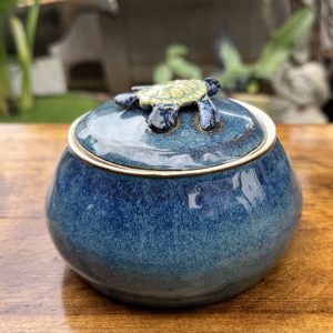 Little Pua Keeps Honu