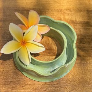 Small Cactus Flower Vase